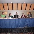 Comic Adaptation Panel - Hope Larson, Raina Telgemeier, Daniel Lafrance, Svetlana Chmakova and Scott Robins