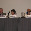 Gold and Silver Panel - Murphy Anderson, Ramona Fradon and Gene Colan.JPG
