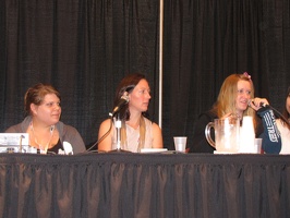 Image Comics - Female Panel - Christine Larsen, Alex de Campi and Amy Reeder