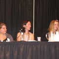 Image Comics - Female Panel - Christine Larsen, Alex de Campi and Amy Reeder.JPG