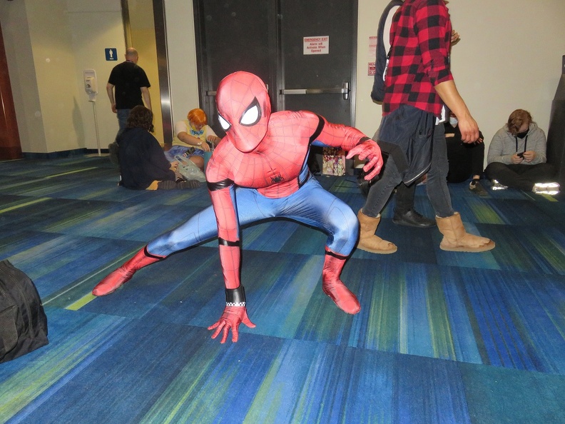 Cosplay - Spider-Man.jpg