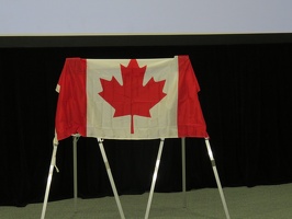 Darwyn Cooke Tribute - Canadian Flag